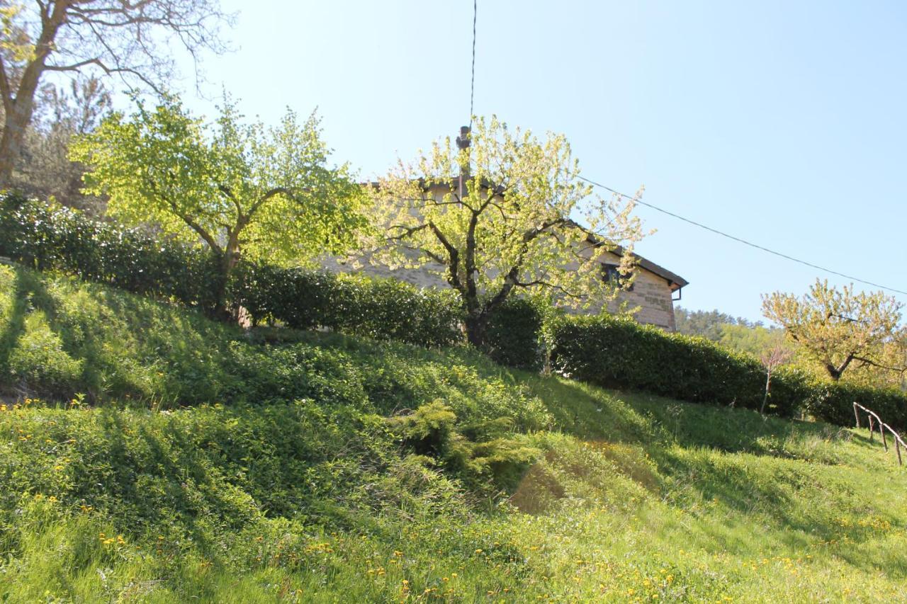 B&B Paradiso Gubbio Exterior foto